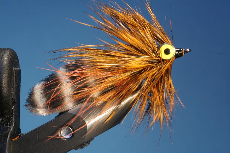Beaner's Baitfish