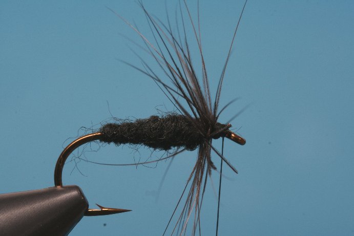 BlackSpider007