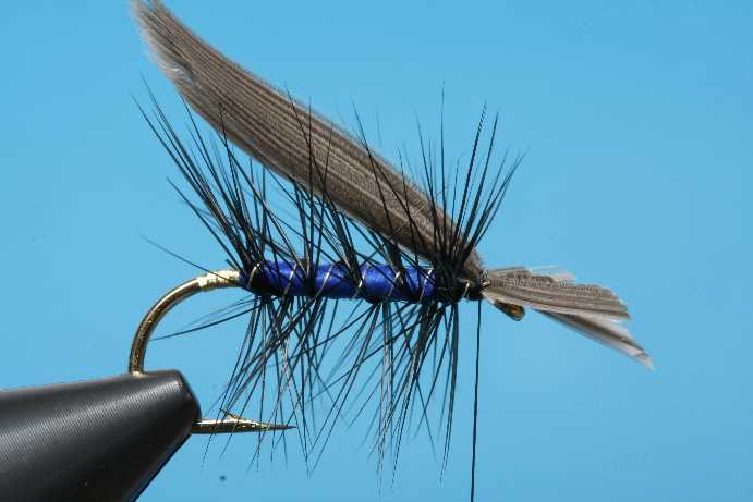 BlueBottle Fl�gel eingebunden