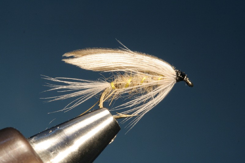 Bavaria Blue Dun