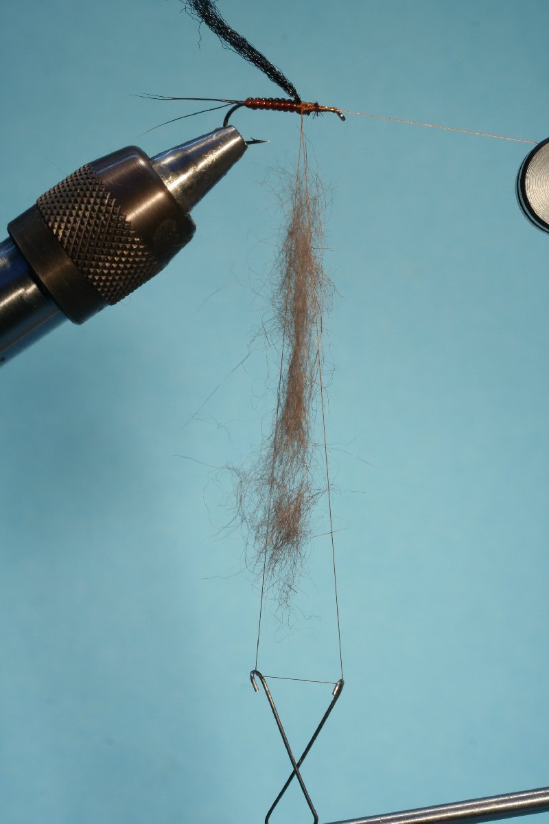 Eichh�rnchen Dubbing einlegen