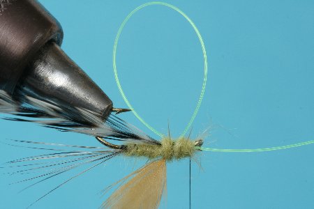 Thorax dubben