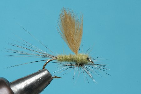 die fertige Bottom Wrap Parachute Hechel