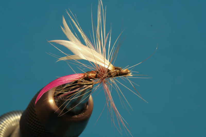 Brandner_alteFliegen-1