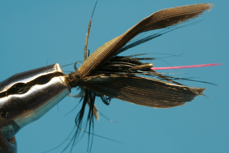Brandner_alteFliegen-10