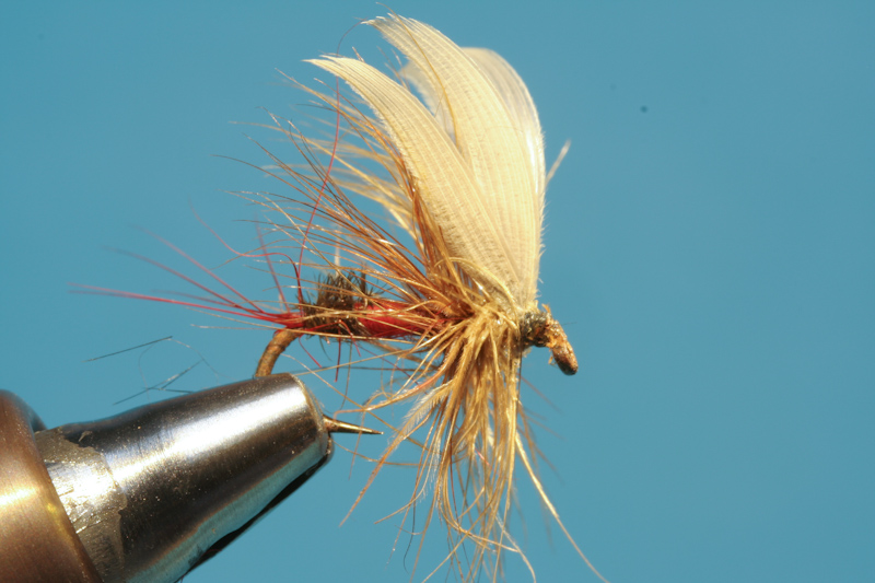 Brandner_alteFliegen-11