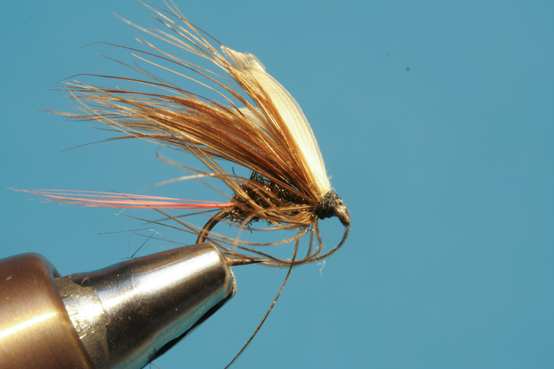 Brandner_alteFliegen-12