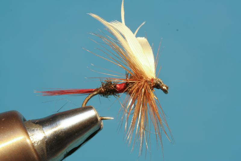 Brandner_alteFliegen-13