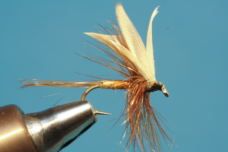 Brandner_alteFliegen-14