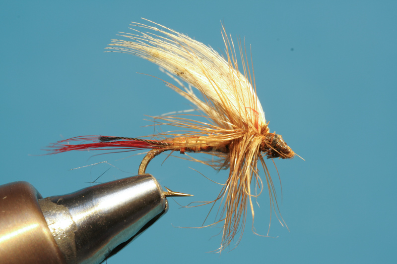 Brandner_alteFliegen-15
