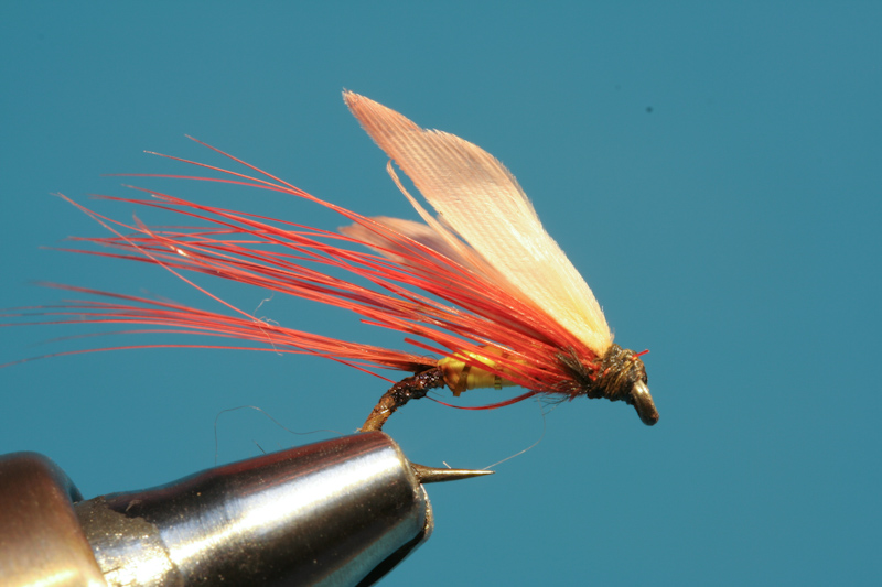 Brandner_alteFliegen-16