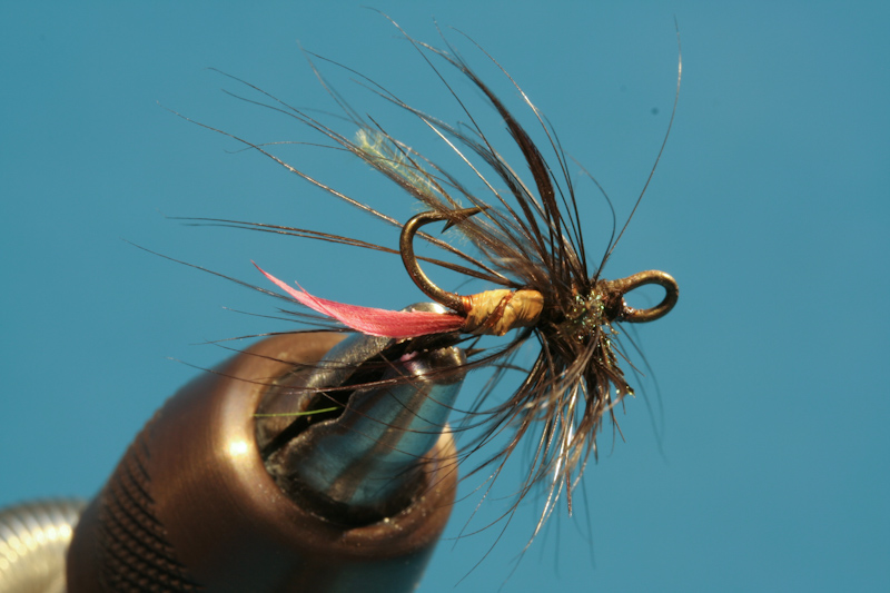 Brandner_alteFliegen-2