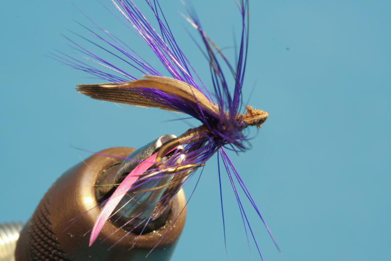 Brandner_alteFliegen-3