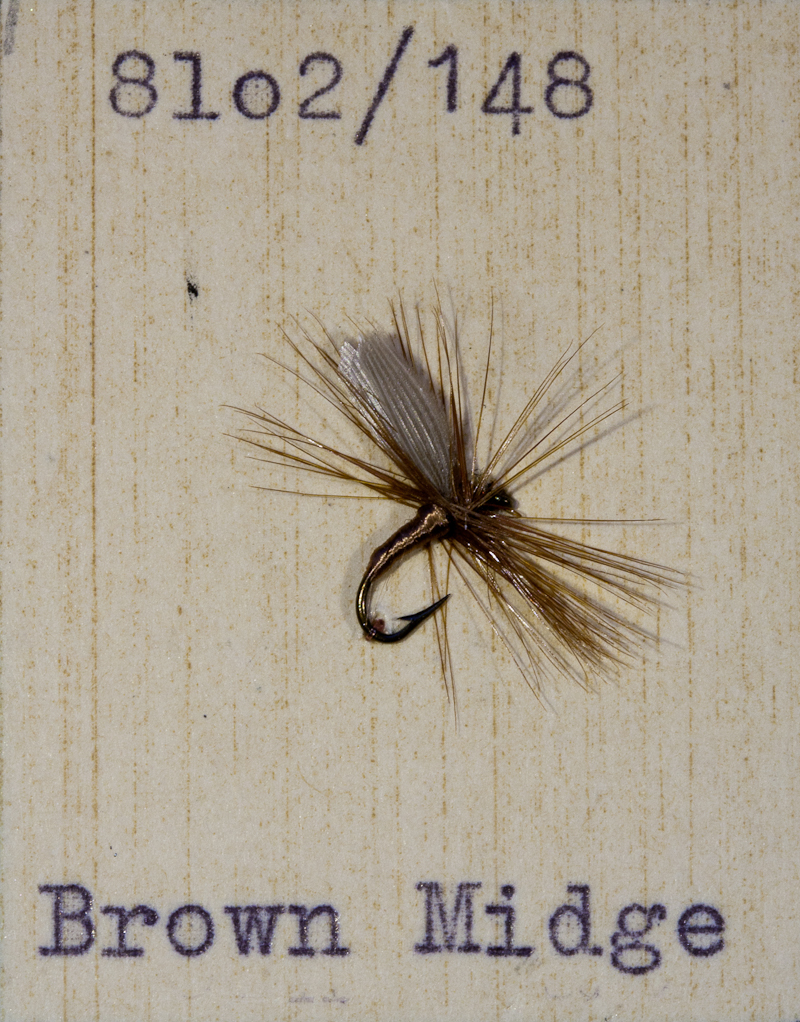 Brown Midge