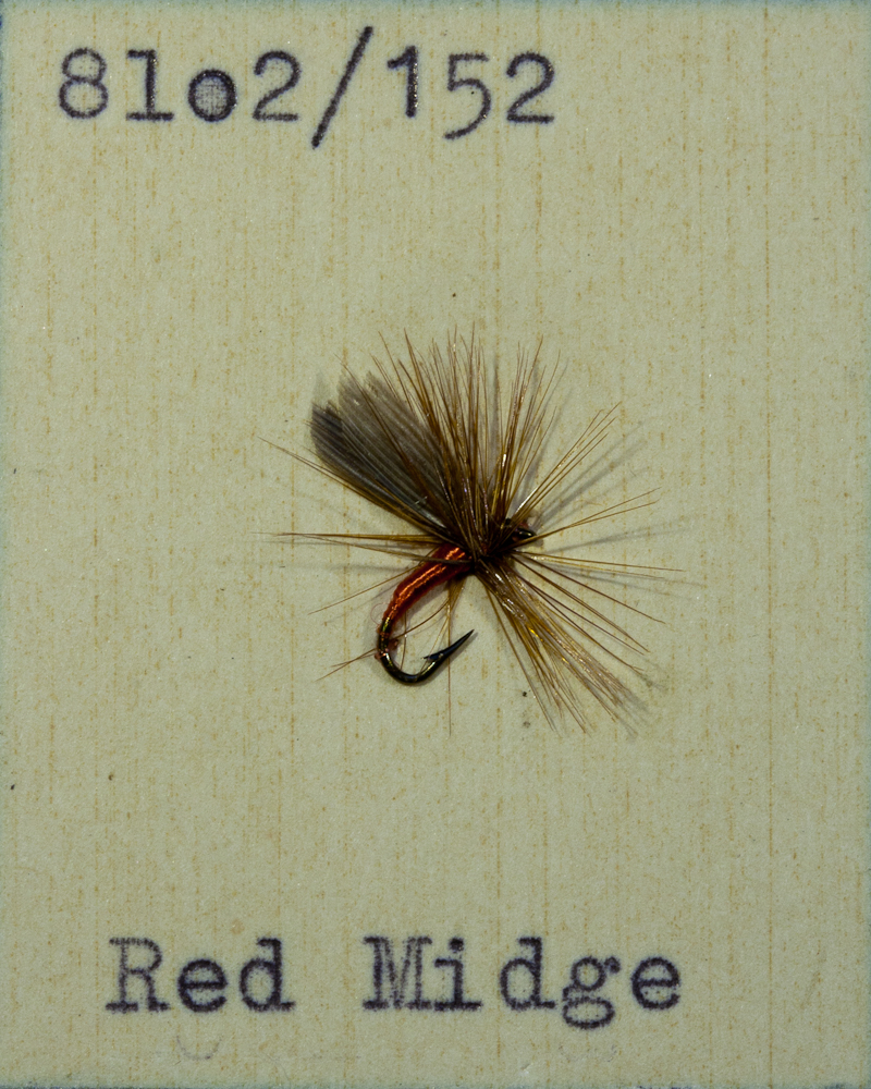 Red Midge