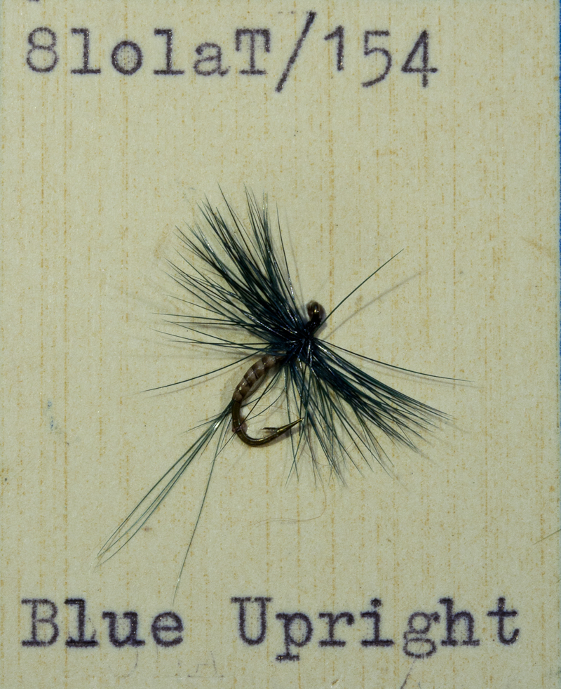 Blue Upright