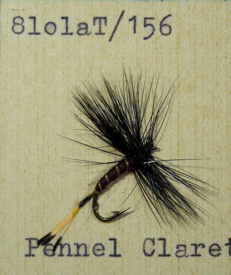 Claret Pennel