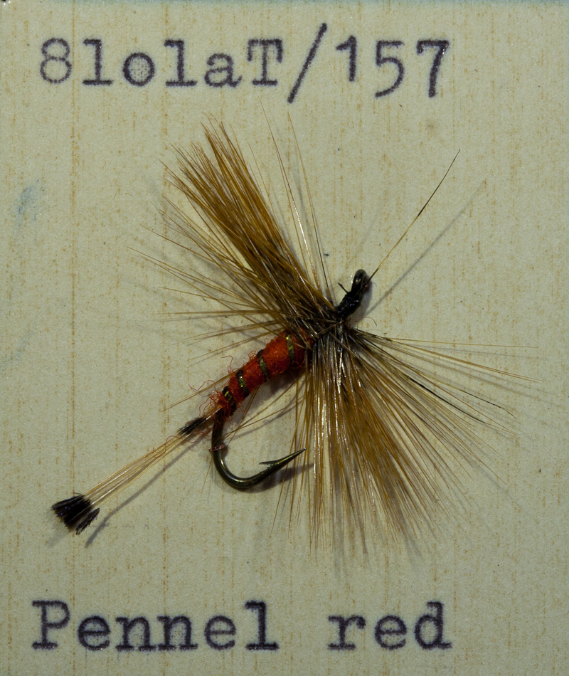 Red Pennel