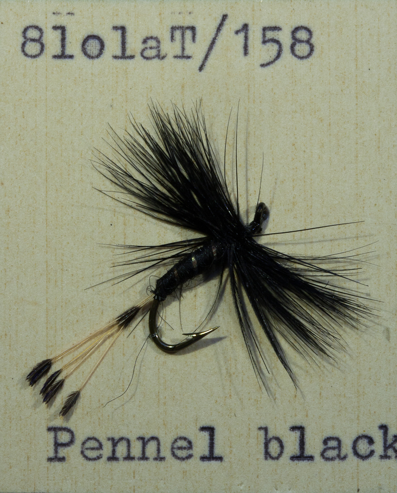 Black Pennel