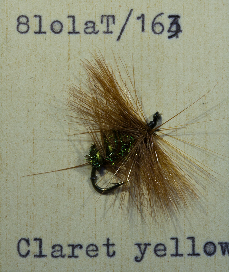 Yellow Bumble