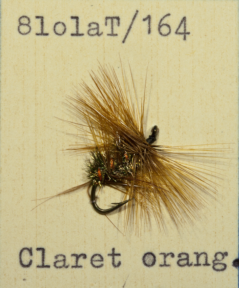 Orange Bumble
