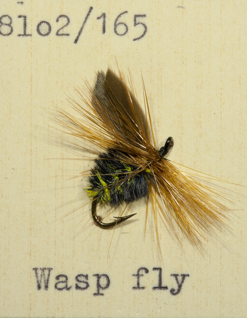 Wasp Fly