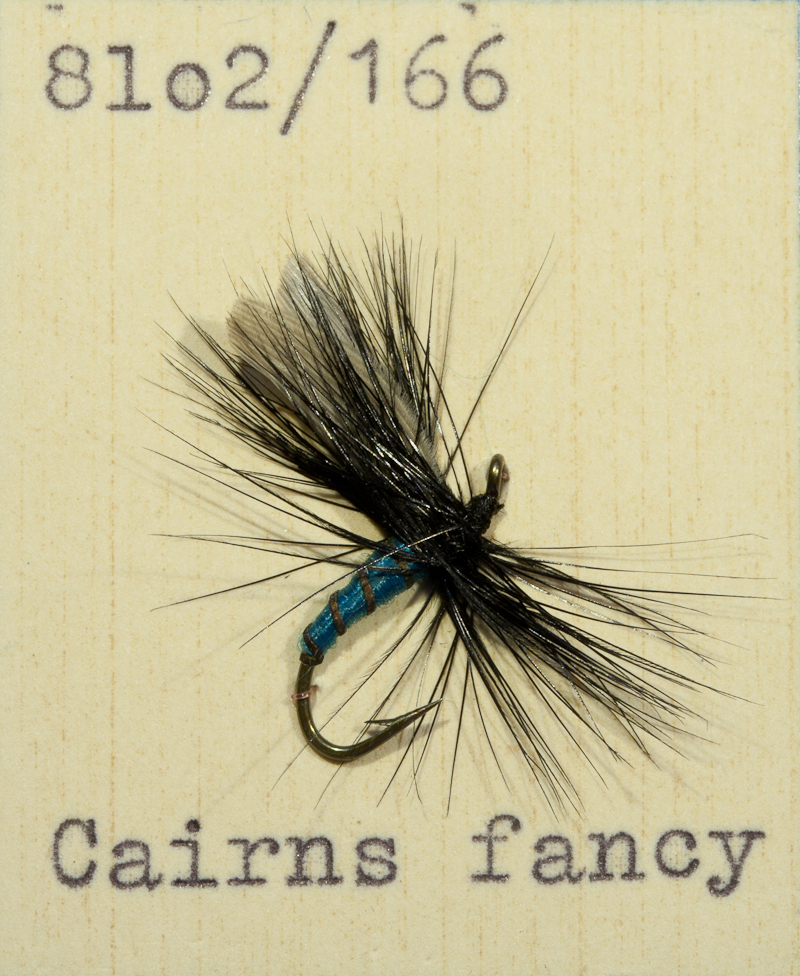 Cairns Fancy