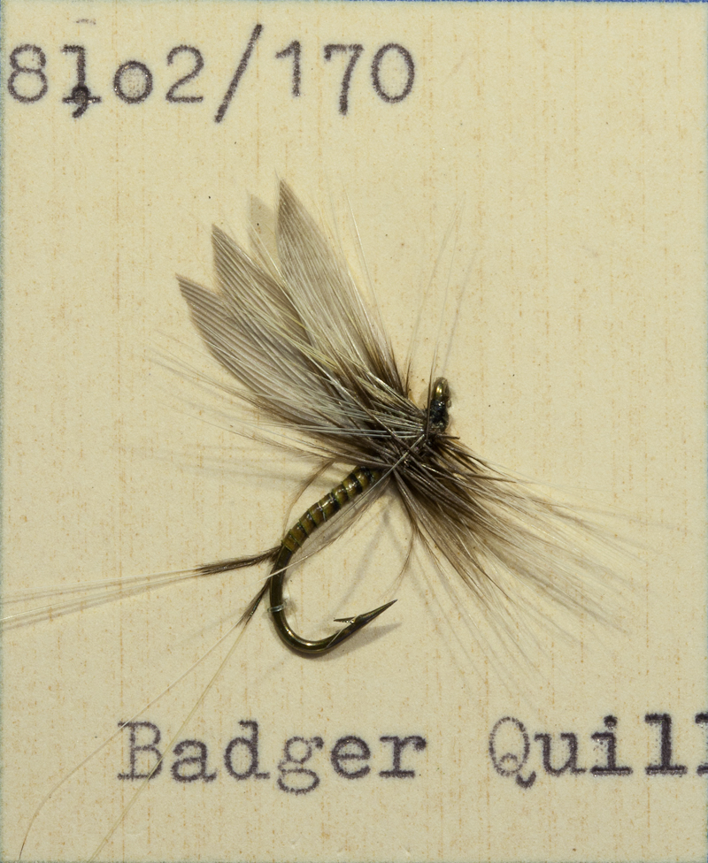 Badger Quill