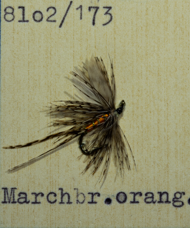 Marchbrown orange