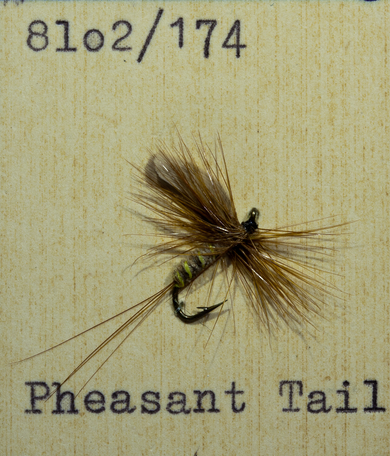 Pheasant Tail