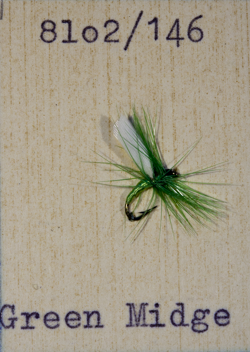 Green Midge