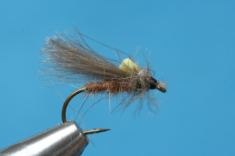 CDC-Sedge10