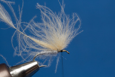 Flymph Fl�gel als Basis