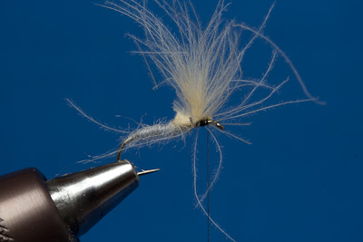 Flypmph Fl�gel als Basis