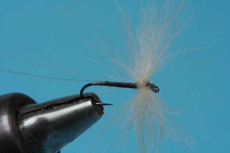 CDC Spinner