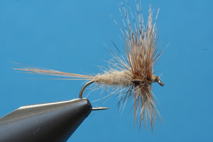 Catskill Marchbrown