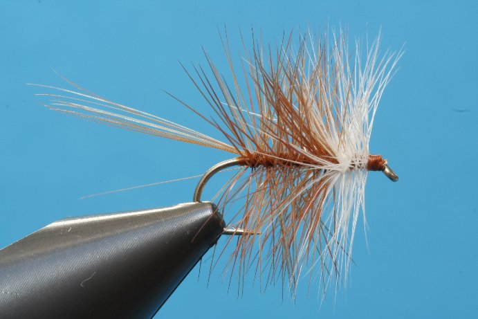 Brown Bivisible