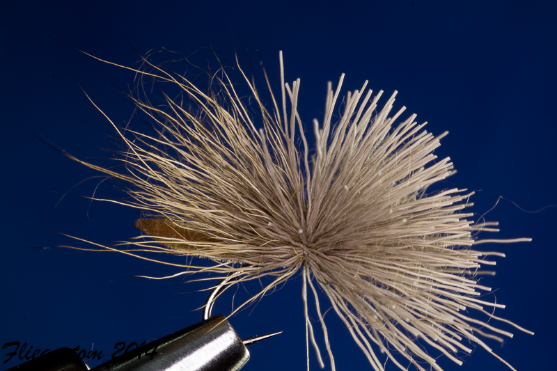 DetachedBodySedge-15