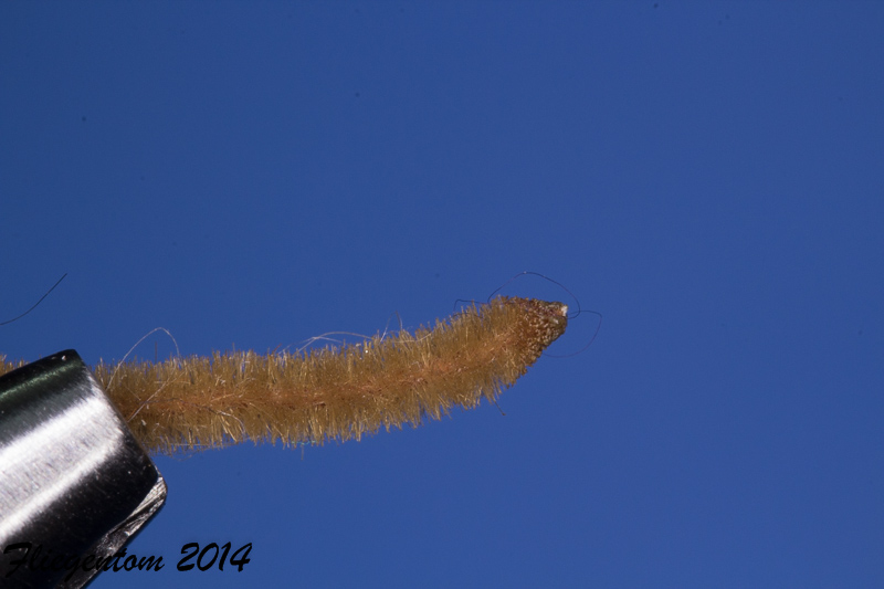 DetachedBodySedge-2
