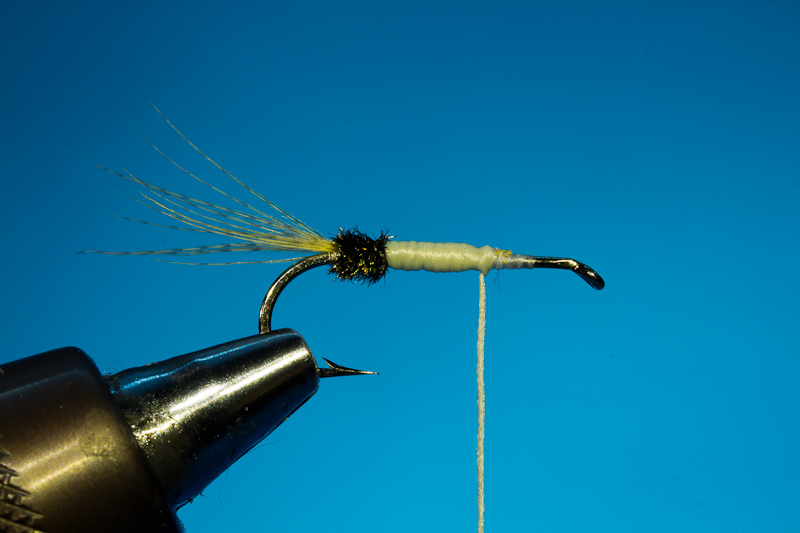 Doosfliege Flossk�rper