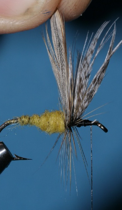 Wicklungen hinter dem Flügel Wicklungen hinter dem Flügel