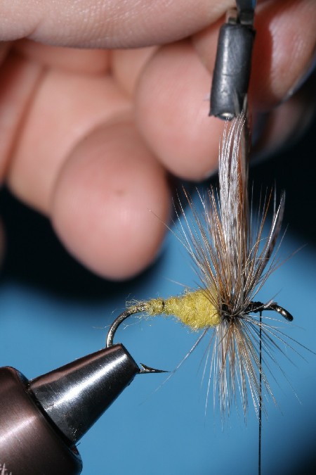 Wicklungen vor dem Flügel Wicklungen vor dem Flügel