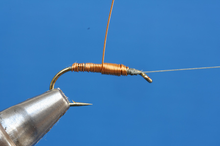 Zweite Lage �ber Thorax
