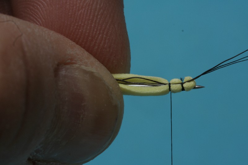erstes Segment