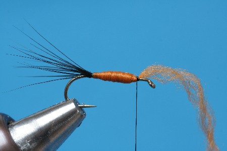 Floss013