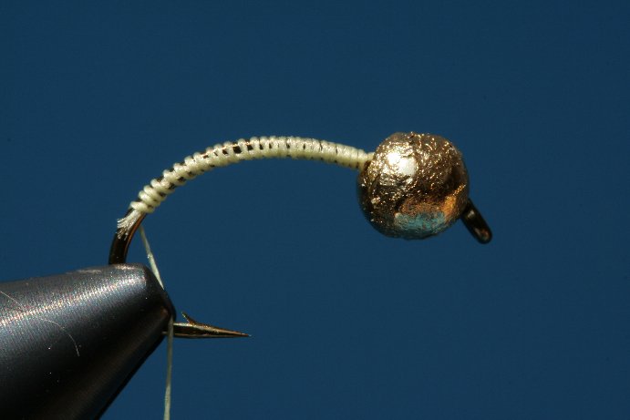 Goldkopf Grundwicklung