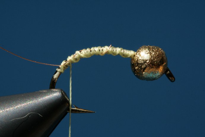 Goldkopf Rippung einbinden