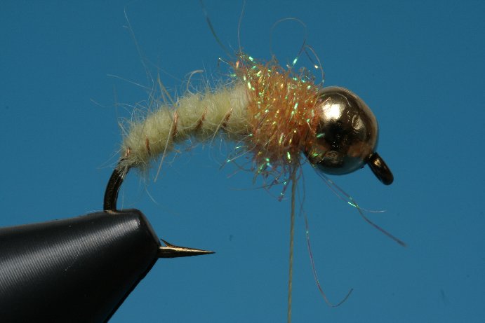 Goldkopf010