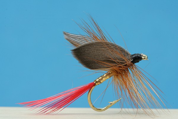 Balancierte Trockenfliege