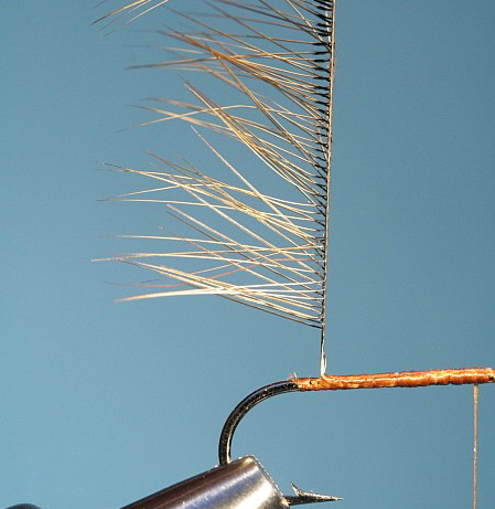 gefaltete Hechel